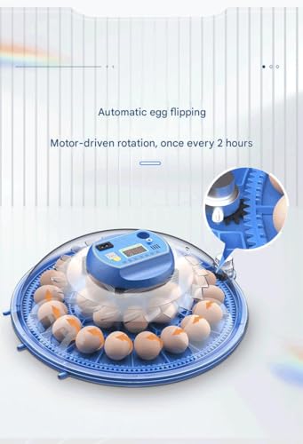 JUJOJB 12-Egg Incubator with Automatic Turner and Temperature Control - color: Blue