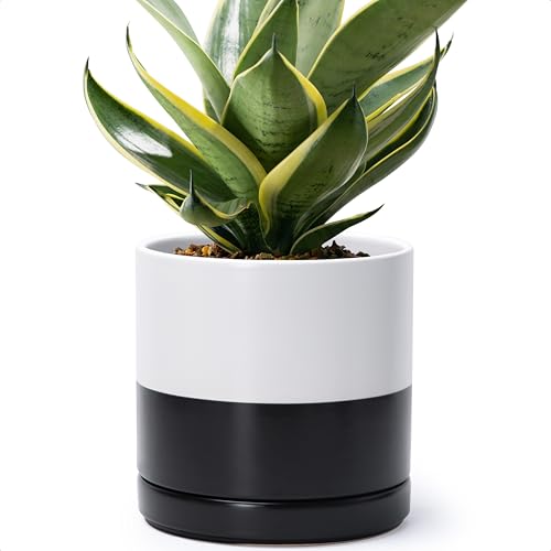 D'vine Dev 8.2 Inch Ceramic Planter Pot, Black White Two Tone, 94-O-D-L - color: Layered Monochrome Black & White, size: Medium
