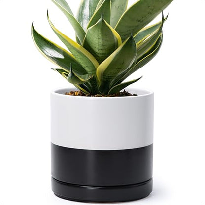 D'vine Dev 8.2 Inch Ceramic Planter Pot, Black White Two Tone, 94-O-D-L - color: Layered Monochrome Black & White, size: Medium