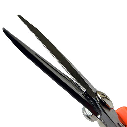 Hoof Trimmers Goat Hoof Trimming Shears Nail Clippers for Sheep, Alpaca, Lamb, Pig Hooves Multiuse Carbon Steel Trimmer (Pack of 2) - size: 8 inches (Pack of 2)