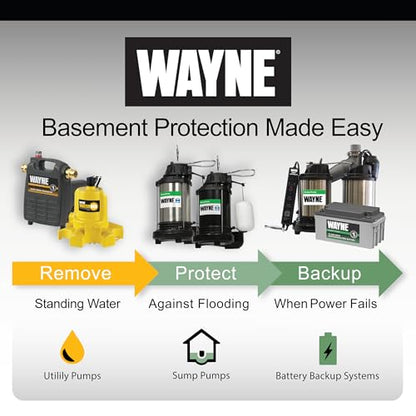 WAYNE PC4 1/2 HP Cast Iron Multi-Purpose Transfer Pump – Non-Submersible Utility Water Pump with Suction Strainer, Model 55832