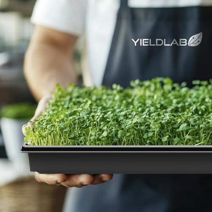 10x20 Inch Black Plastic 10 Pack Plant Propagation Tray No Holes - color: Black, size: 10-Pack