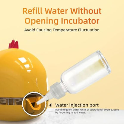 Small Household Egg Incubator USB Powered Transparent Observation Cover with Egg Projector can Hold 5 Eggs