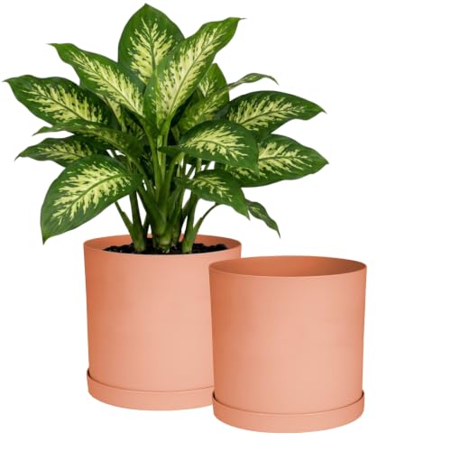 Bloem Mathers 10" Modern Plastic Planter, Muted Terra Cotta, 2-Pack - color: Muted Terra Cotta, size: 10" (Pack of 2)