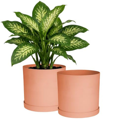 Bloem Mathers 10" Modern Plastic Planter, Muted Terra Cotta, 2-Pack - color: Muted Terra Cotta, size: 10" (Pack of 2)