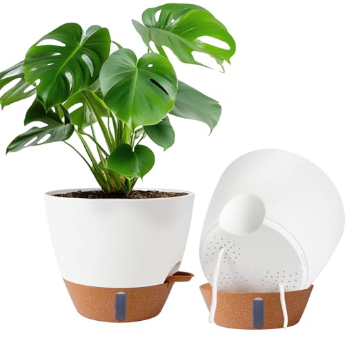 2 Pack 10 inch Plant Pots, Plastic Self Watering Planters - color: White, size: 10 inches