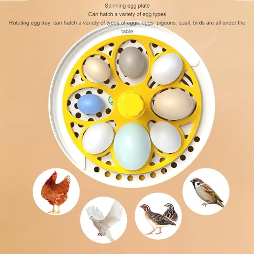 Luqeeg Mini Egg Incubator, Temperature Control Digital Incubators, 4 Eggs Candler Poultry Hatching Machine Eggs Poultry Hatching Machine for Chickens Ducks Pigeons (Auto Turning)