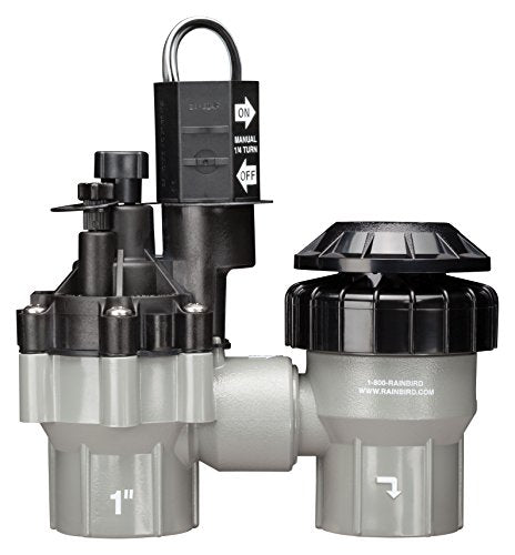 Rain Bird DASASVF100 Professional Anti-Siphon Valve, 1" - size: 1 Inch