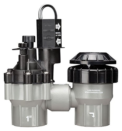 Rain Bird DASASVF100 Professional Anti-Siphon Valve, 1" - size: 1 Inch