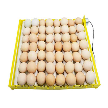Morishima Automatic Multifunction Incubator Egg Tray Turning Hatcher for Chickens/Ducks/Birds/Poultry（9 Tubes） - color: 9 Tubes
