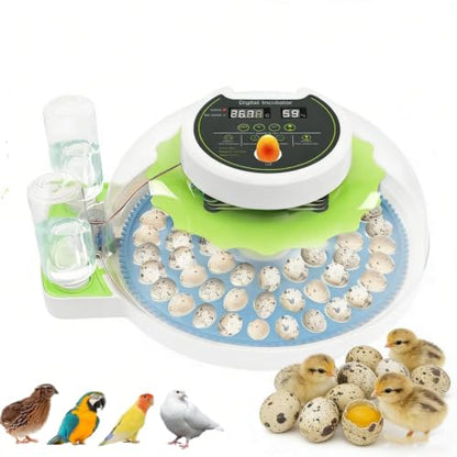 60 Quail Egg Incubator for Hatching with Auto Turning & Humidity Control - size: 66 Units