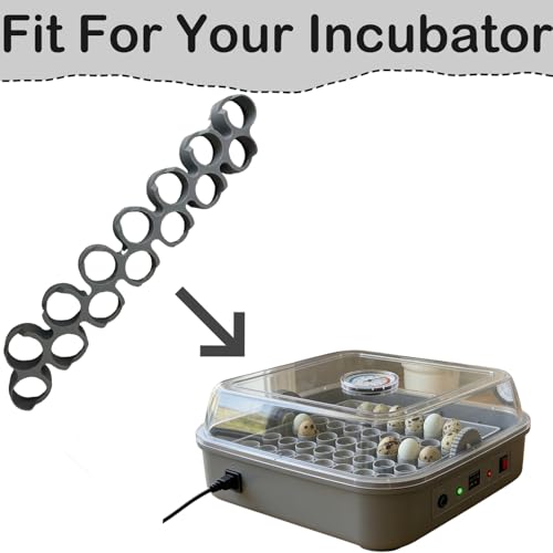 Custom Quail Egg Turner Tray Compatible with Maticoopx 20 Egg Incubator - color: M30
