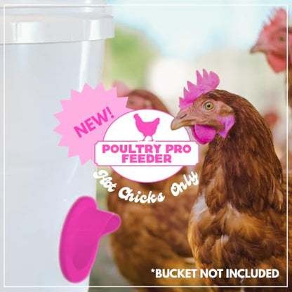 Poultry Pro Hot Chick Feeder Kit, Weatherproof, 3 Ports & Hole Saw - style: Hot Chick Feeder Kit