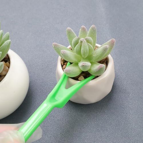 Antrader Mini Garden Hand Succulent Transplanting Tools,Set of 6,Green