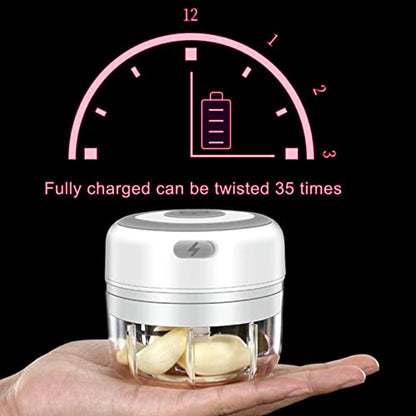 Electric Mini Garlic Chopper, 100ML Food Chopper Garlic Mincer USB - color: 100ML White