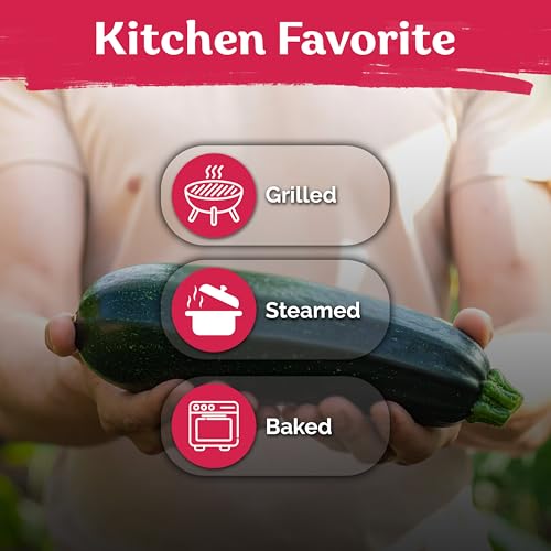 100 Black Beauty Zucchini Heirloom Vegetable Seeds, Cucurbita Pepo