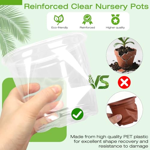 6 Inch Clear Nursery Pots with Drainage Trays, 15 Pack Plastic Pots for Plants, Clear Pot for Seed Starting, Transplanting, Succulents, and Indoor Gardening (6 inch) - size: 6 inch