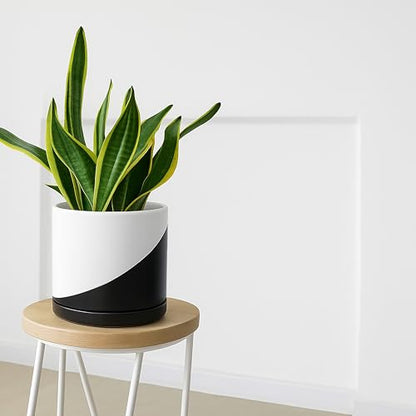 D'vine Dev 10 Inch Ceramic Planter Pot, Black White Diagonal, 94-O-E-K - color: Oblique Monochrome Black & White, size: Large