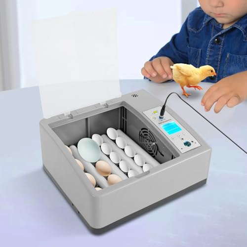 Egg Incubator 16 Eggs, Fully Automatic Digital Household Egg Incubator, Automatic Egg Turning, Temperature Control, 110V/12V Poultry Hatching Machine, for Chicken Duck Bird Eggs - size: 16 Eggs