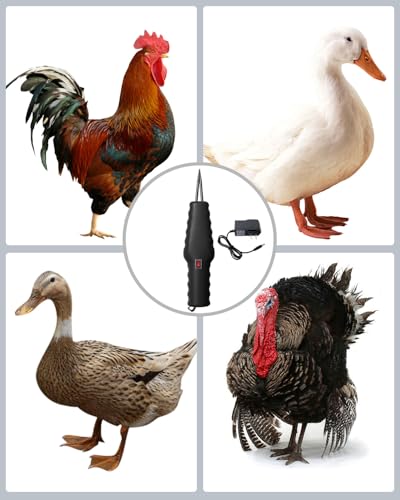 Handheld Chicken Plucker - Electric Quick Chicken Feather Plucker, Portable Waterproof & Rechargeable for Fast Pin Feather Removal Works on Duck Goose & Other Birds Durable Black Desig - color: Black