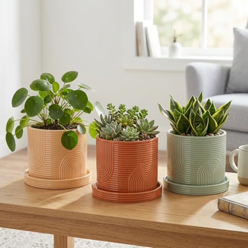 6 Inch Ceramic Plant Pot with Drainage Hole & Tray – Terracotta - color: Terracotta