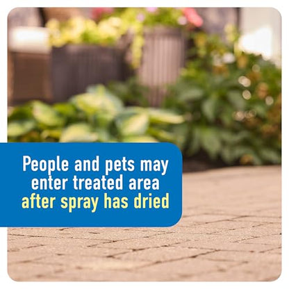 Roundup Weed & Grass Killer4 Concentrate, 1 gal. - size: 1 gal. Conentrate