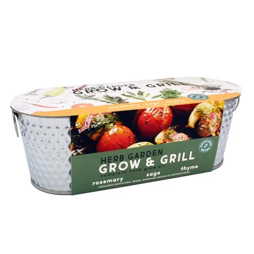 Buzzy Seeds Grow & Grill Herb Kit, Metal Windowsill Planter, Rosemary Sage - color: Silver