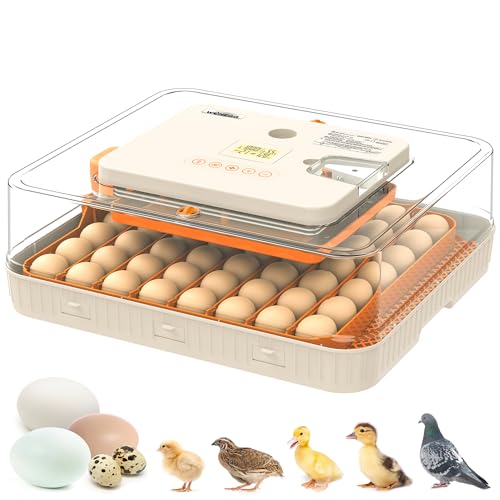 Egg Incubator 56 Eggs Incubators for Hatching Eggs with Auto Egg Turner for Chicken Duck Goose Eggs - size: 56 chicken eggs