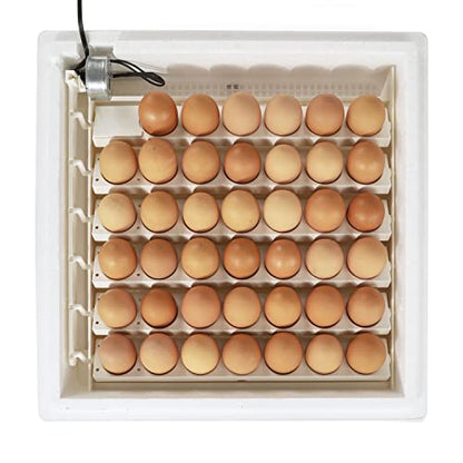 Farm Innovators Automatic Egg Turner, 41 Spot Chicken Egg Turning Tray with Thermometer for Improved Hatching Rate - Compatible with Select Incubators - size: Pack of 1