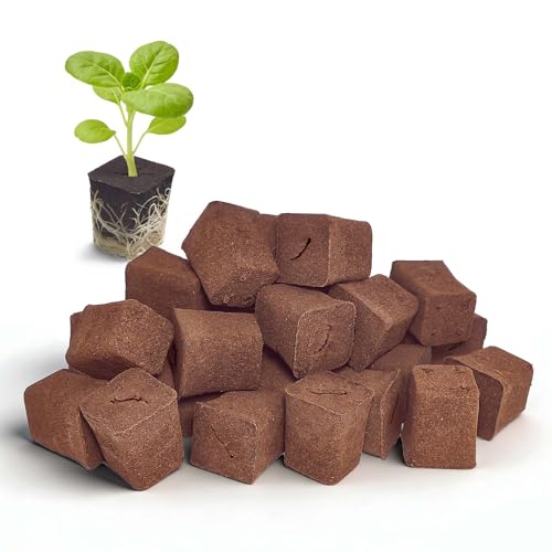 50 Packs Cuttage Grow Sponges, Pods Root Growth Sponge Eco Friendly PH Balance, Square Sponge Replacement Part Seedling Starter Sponges for Hydroponic Indoor Garden System Cuttage Rooting