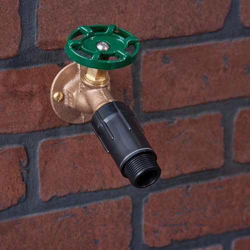 Raindrip 46500UB Pressure Regulator, 3/4 in. FPT X 3/4 in. MPT, 30 PSI