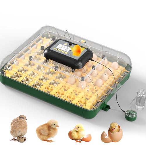 125 Egg Incubator for Hatching Eggs with Automatic Egg Turning - size: M- 196 Quail Eggs