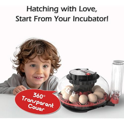 Incubators for Hatching Eggs Automatic Egg Incubator with Temperature Control Humidity Display 12 Egg Capacity for Chicken Duck Goose Eggs Digital Display Auto Turner 360° View - size: 24-quail eggs