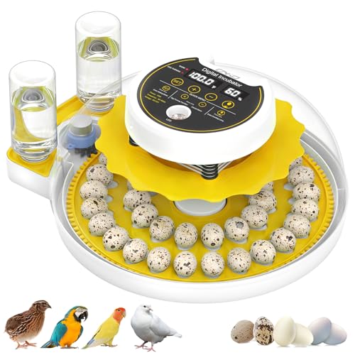 40 Quail Egg Incubator with Automatic Egg Turning Humidity Control Eggs - color: Yellow