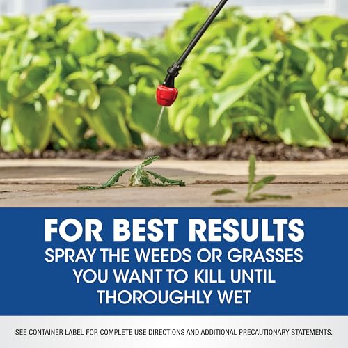 Roundup Weed & Grass Killer4 Concentrate, 35.2 fl. oz. (2-Pack) - size: 1 qt. Concentrate (2-pack)