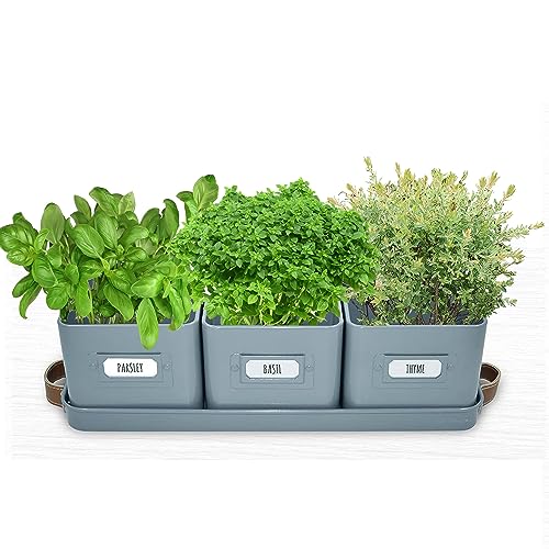 volila Herb Planter Indoor - Set of 3 Teal Blue Indoor Herb Garden Pots for Plants with Leather Handled Tray - Window Sill Plant Shelf - Herb Pots with Drainage Holes and Labels - color: Teal Blue