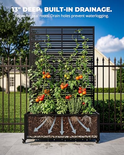 73" Tall Privacy Planters with Trellis, Freestanding - Black - color: Matte Black