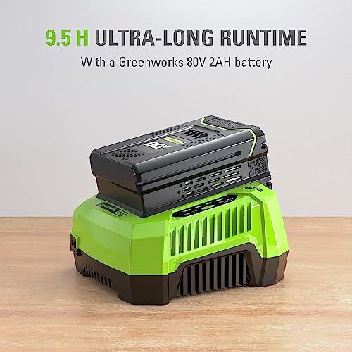 Greenworks 80V Backpack Sprayer 4 Gallon,Battery Powered Backpack Sprayer Kit for Weeding, Spraying, Pest Control, 2Ah Battery and Charger Included, Green, 80V Sprayer Kit (2.0Ah) - size: 80V W/ Battery & Charger