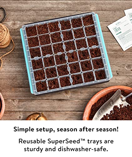 Burpee SuperSeed 36-Cell Reusable Seed Starting Tray for Indoor Seedlings - size: 36 Cells