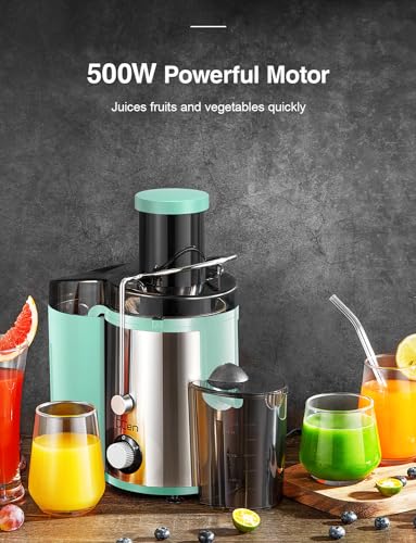 Juicer Machine 800W Centrifugal Juicer with Wide Mouth Feed Chute - color: Aqua, size: 800W