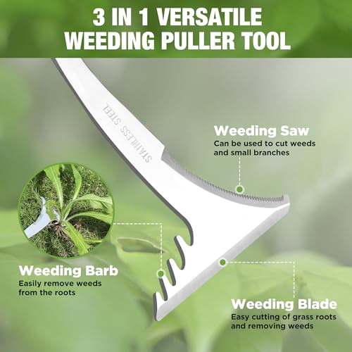 WORKPRO Crack Weeder, 13.5" Stainless Steel Weeding Tool, Wooden Handle