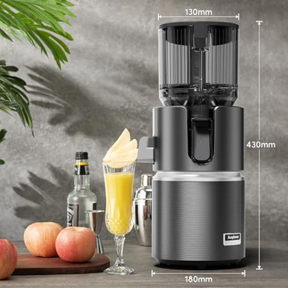Anybear 350W Cold Press Juicer, Makes Juice & Sorbet & Nut Milk + Recipe