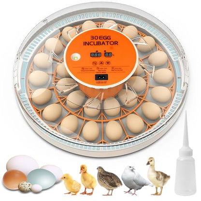 30 Egg Incubator with Automatic Egg Turning and Humidity Control,360 Degree View with Clear Window, Incubators for Hatching Eggs, Chicken, Ducks, Goose, Pigeon, Quail, Parrot - size: 30 Eggs