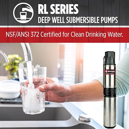 Red Lion RL22G10-3W2V Submersible Well Pump, 1 HP, 3-Wire, 230V, 22 GPM - style: 1 HP, 22 GPM