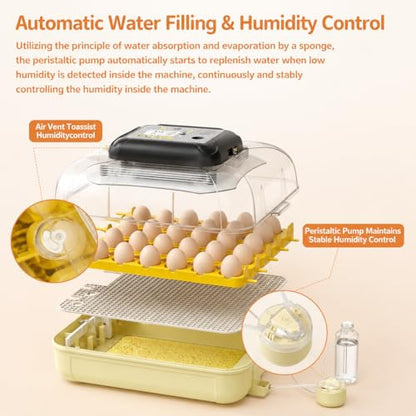Egg Incubators for Hatching 30 Eggs with Temperature Humidity Control - color: Yellow