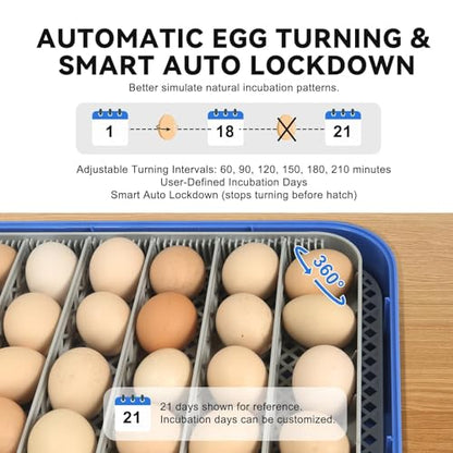 Series IV - 70 Egg Incubator for Breeders, Sensor-Based Precise Humidity + Temp Control, Chick Separator, Adjustable Egg Spacing, Custom-Interval Auto Turn + Auto Stop, Preset Incubation Days