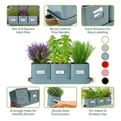 volila Herb Planter Indoor - Set of 3 Teal Blue Indoor Herb Garden Pots for Plants with Leather Handled Tray - Window Sill Plant Shelf - Herb Pots with Drainage Holes and Labels - color: Teal Blue