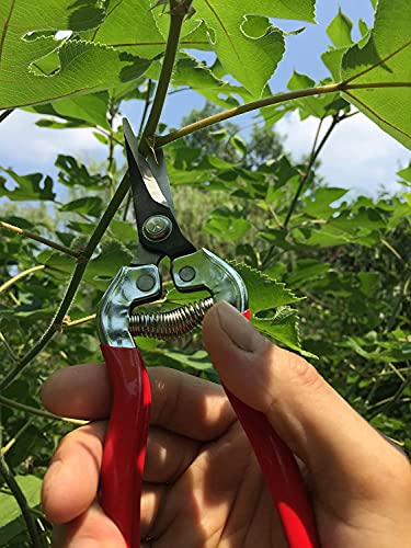 gonicc Micro-Tip Pruning Snips(GPPS-1008), Stainless Steel Garden Shears - color: Red Micro-tip Pruning Snip