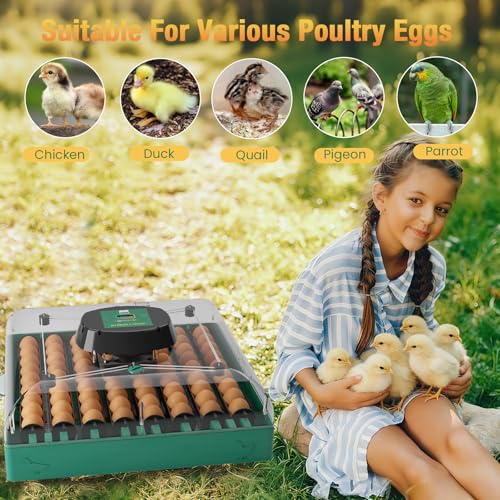 Egg Incubator for Chicken Eggs, Max 72 Egg Incubator with Auto Turner
