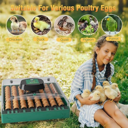 Egg Incubator for Chicken Eggs, Max 72 Egg Incubator with Auto Turner
